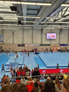 Landesturnfest in Konstanz 2026